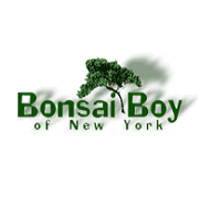 Bonsai Boy