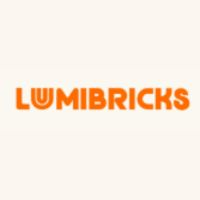 Lumibricks Funwhole