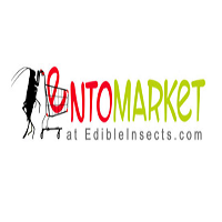 Edible Insects